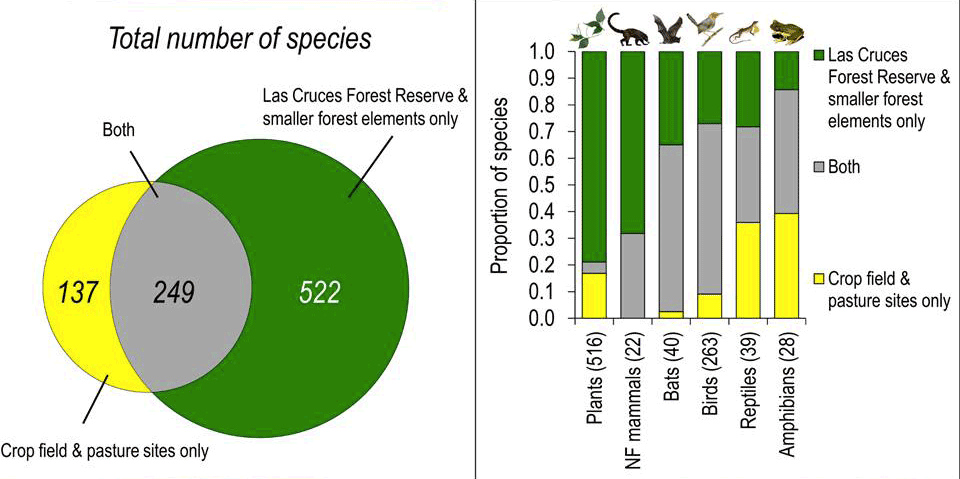 ラスクルーセス森林保護区とその近辺の生物種数の分布を示した図