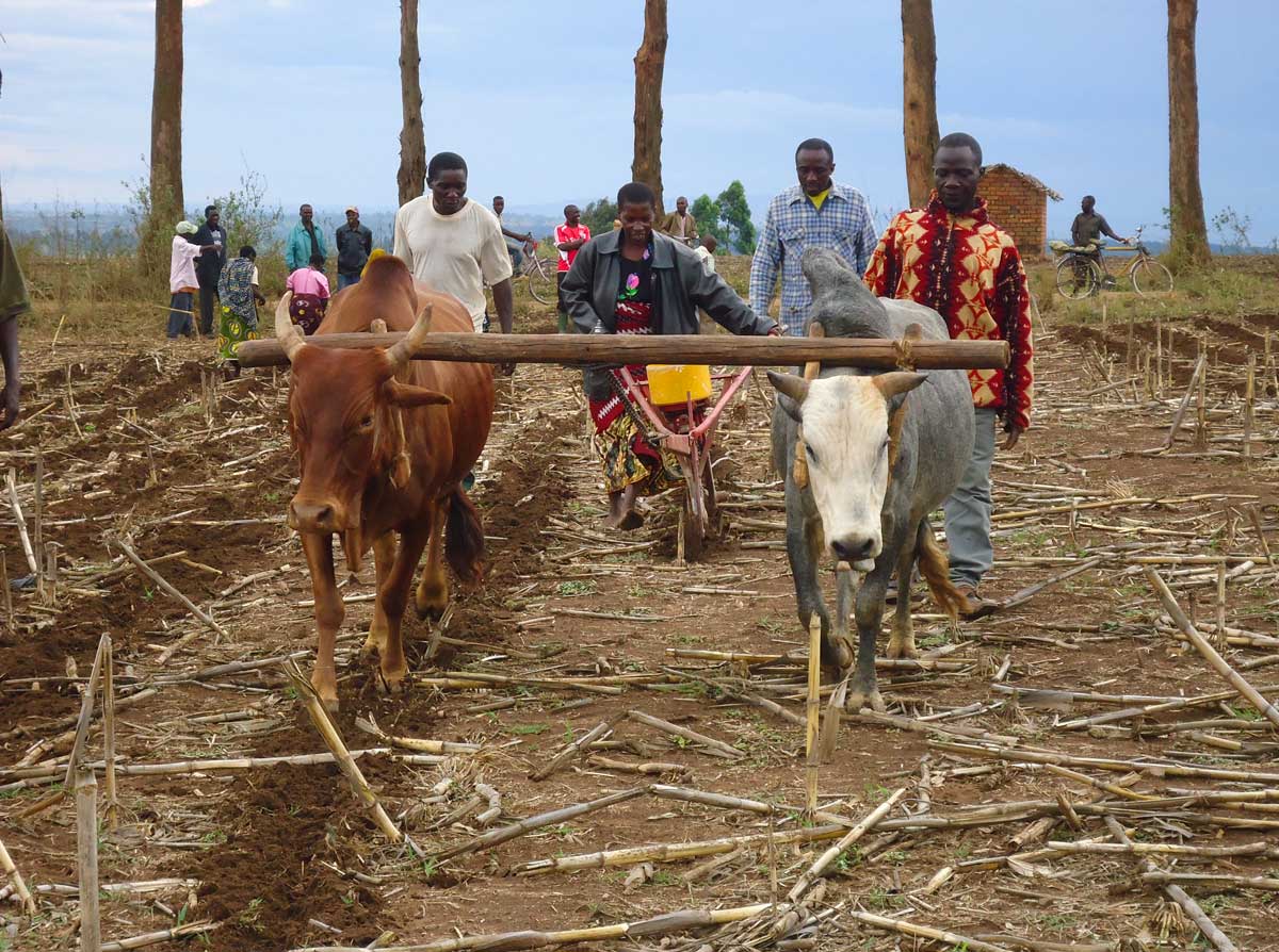 Conservation Tillage