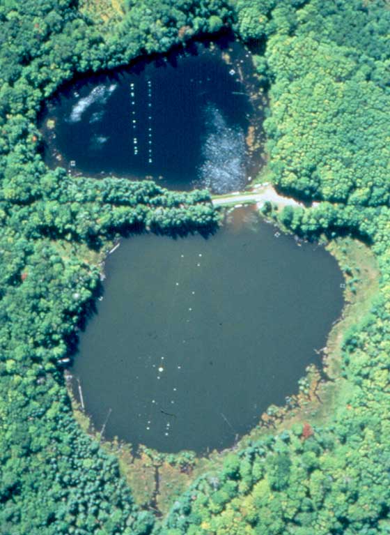 澄んだ湖（上）と藻が繁殖して濁った湖（下）