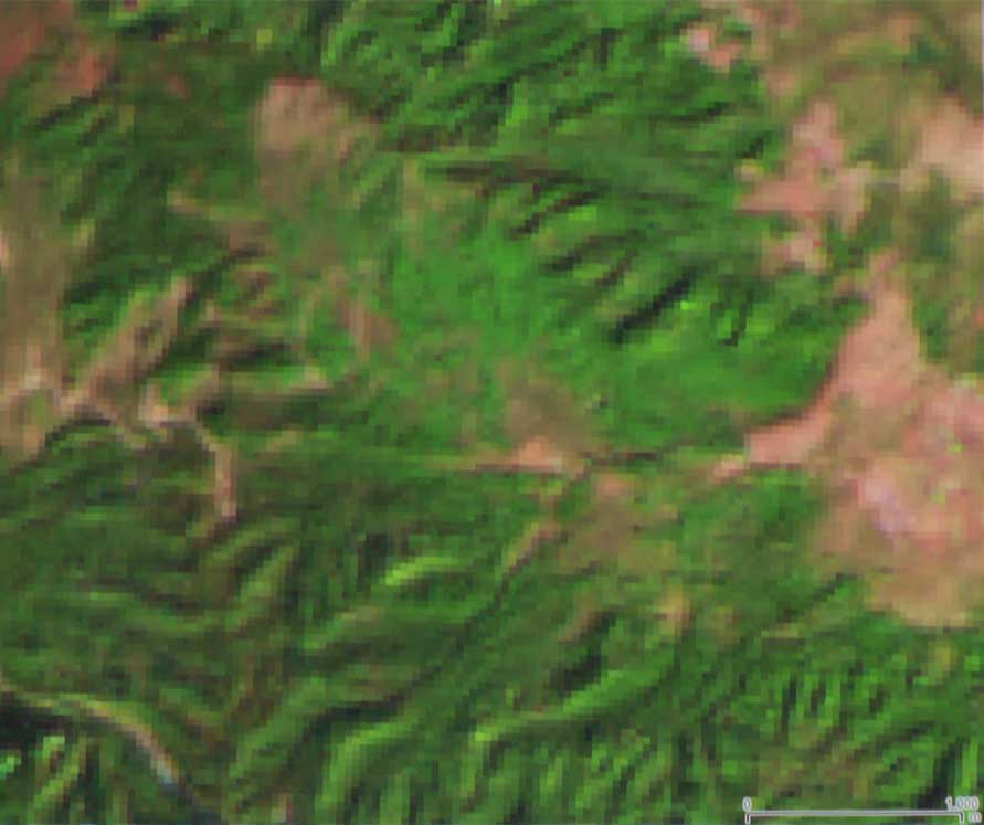 ブータンの衛星画像
